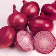 Common fresh red onion