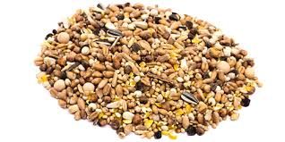 ANIMAL AND BIRD FEED