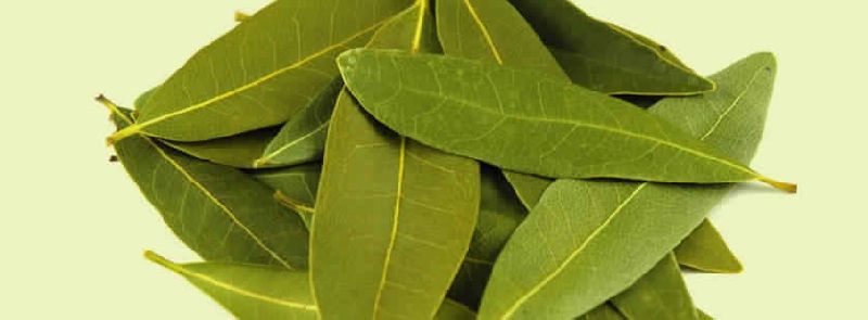 BAY LEAVES SPICES