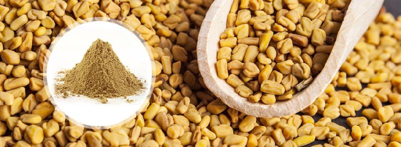 FENUGREEK SEED Sand POWDER