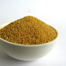 Indian Best Quality Foxtail Millet, Certification : ISO