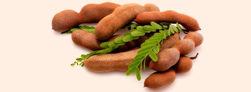 INDIAN TAMARIND WITH SEEDS AND WITHOUT SEED
