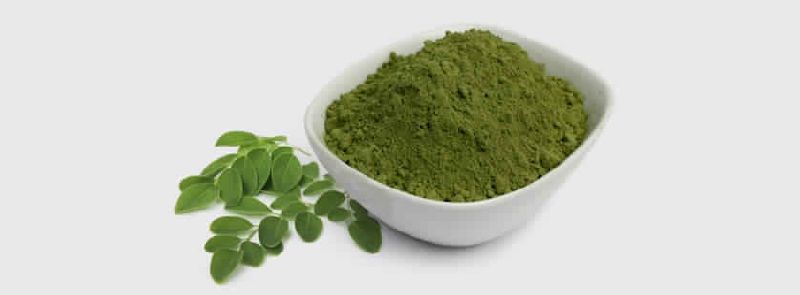 KGCPL moringa powders, Style : FRESH