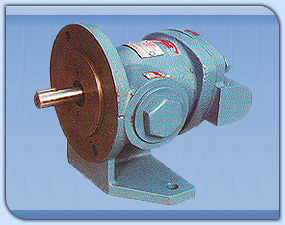 Rotary Gear Pump