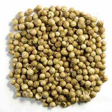 Fresh Coriander seeds, for Cooking, Food