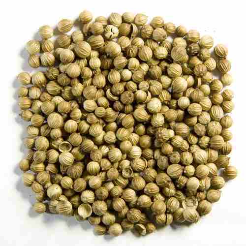 Dried Coriander Seeds, Color : Green