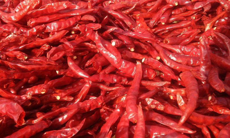 Red Chilly