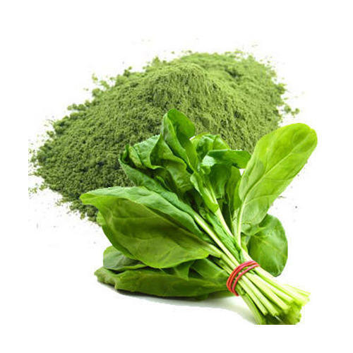 Spinach Powder, Color : Green