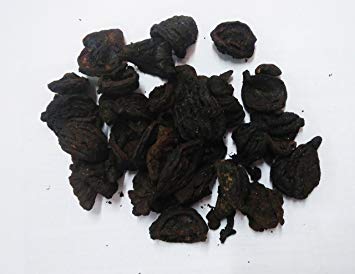 Dried Garcinia Cambogia