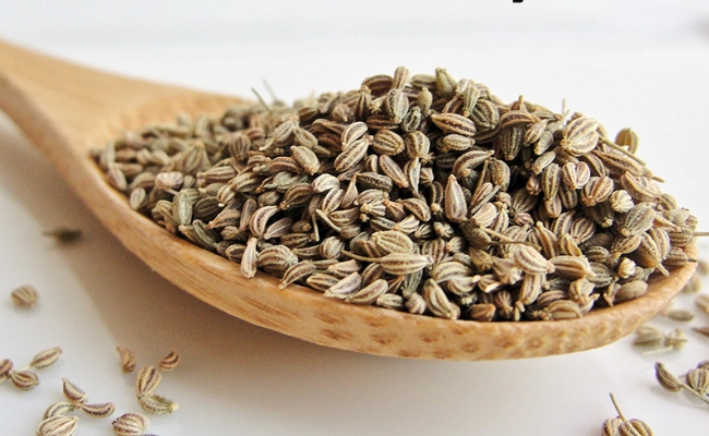 Indian Carom Seeds, Certification : FDA Certified