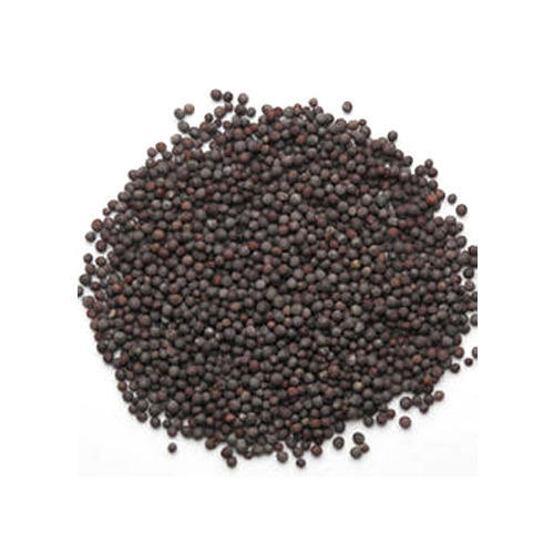 Organic Black Mustard Seeds, Packaging Type : PP Bag