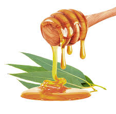 Eucalyptus Honey, for Cosmetics, Feature : Healthy, Safe To Consume