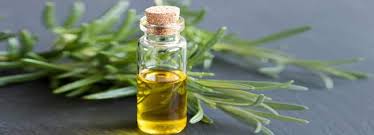 Rosemary Oil, Feature : 100% Natural Herbal