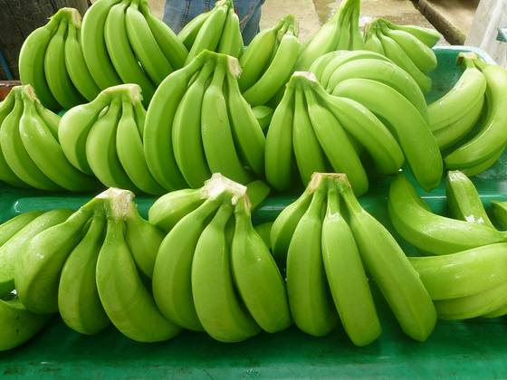 Organic fresh green banana, Feature : Absolutely Delicious