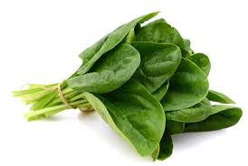Organic Fresh Spinach Leaves, Color : Green
