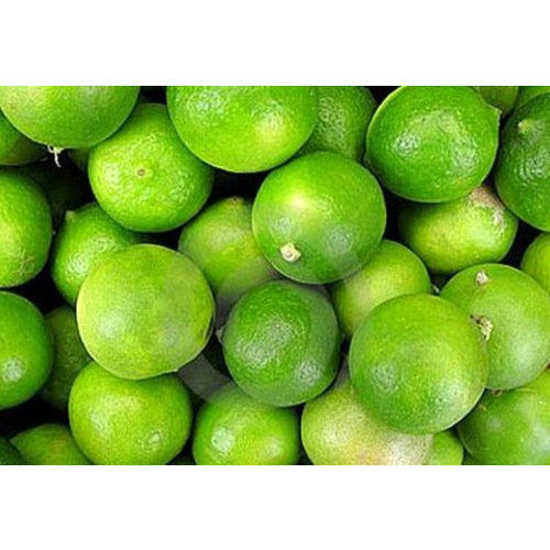 Organic green lemon, Feature : Reduce Health Issue, Natural Taste, Easy To Digest