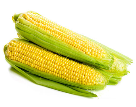 Organic Sweet Corn, for High In Protein