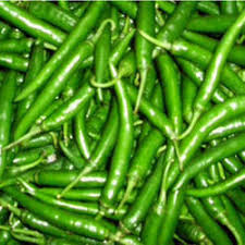 Organic Fresh Green Chilli, Packaging Type : Gunny Bags