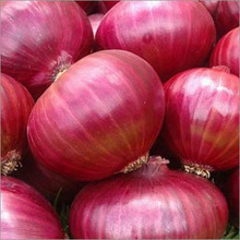 0.5 Common Nashik Fresh Red Onion, Certification : APEDA