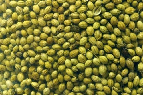 coriander seed