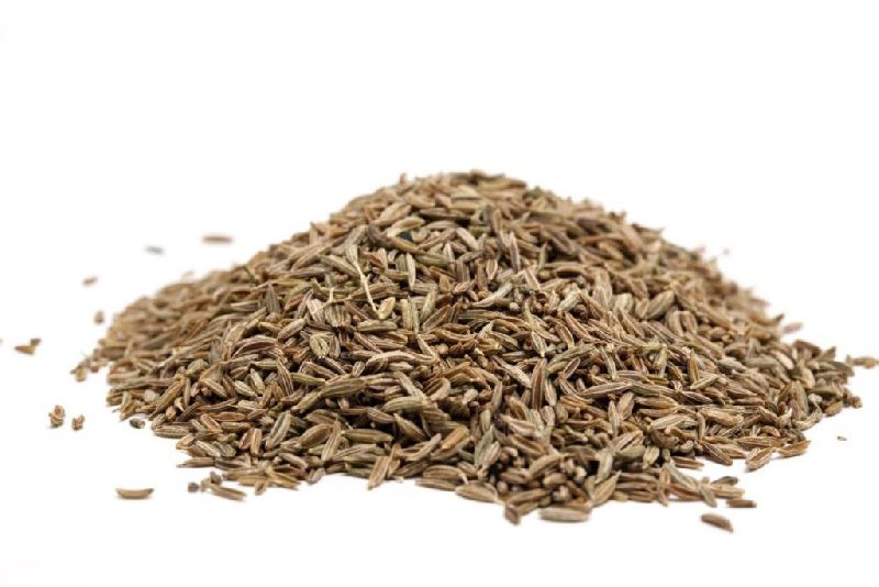 cumin seed