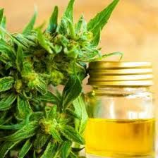 Cbd hemp oil