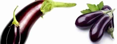 Fresh Eggplant Aubergine- Bringal