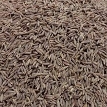 cumin seed