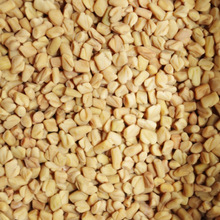 Fennugreek Seed