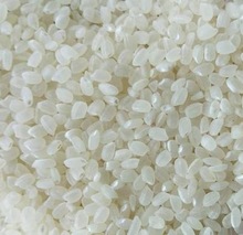 India Feast Common Japonica Rice, Certification : SGS, ISO, APEDA