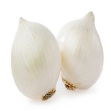 White onion, Certification : HACCP