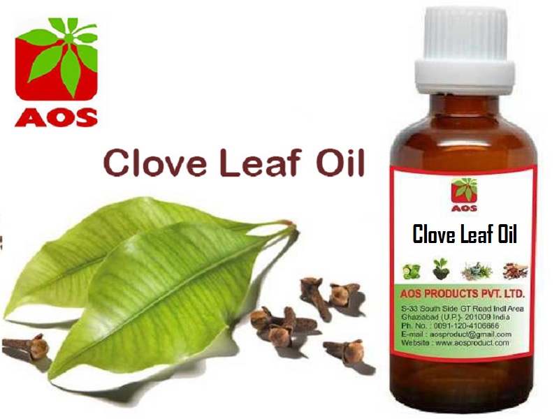  STEAM DISTILLATION Natural Clove Leaf Oil, Packaging Type : Drum