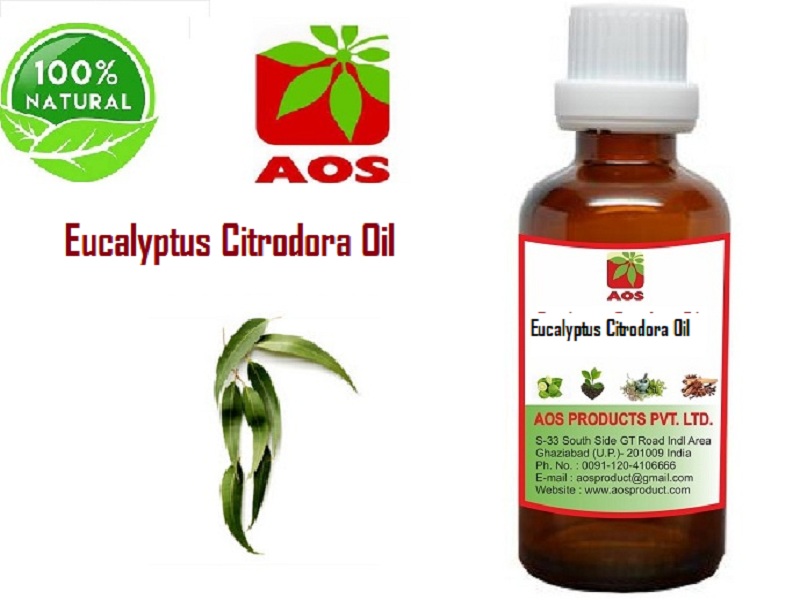 Eucalyptus Citrodora Oil