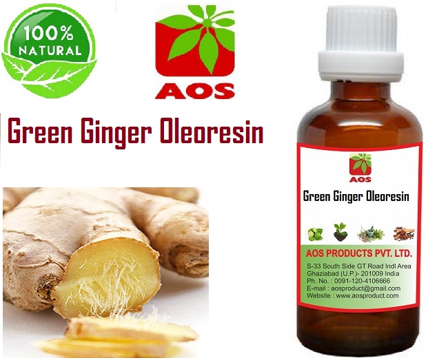 DRIED SEEDS Common Green Ginger Oleoresin, for Cooking, Cosmetic Products, Medicine, Grade : PHARMA