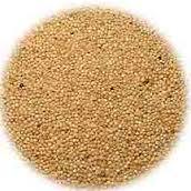 Common Amaranth Grains, Certification : ISO, Halal, Kosher