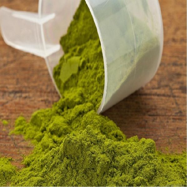 POLO Oleifera Leaf Powder, Color : Green