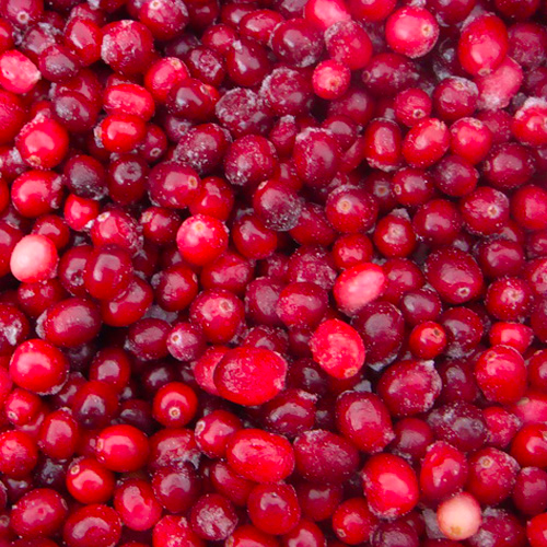 frozen cranberry Canamerind Nutridients Pvt. Ltd, Delhi, Delhi