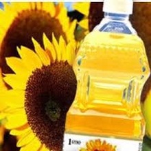 Common cold pressed sunflower oil