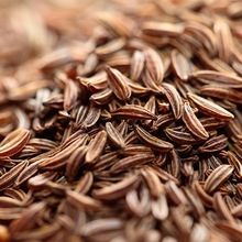 Cumin Seed