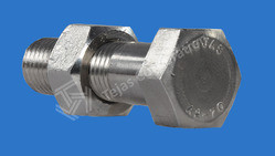 Hexagonal Nut Bolt