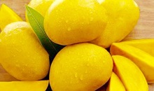 ALAA FOODS Sterilized Mango Puree, Certification : HACCP, ISO, KOSHER