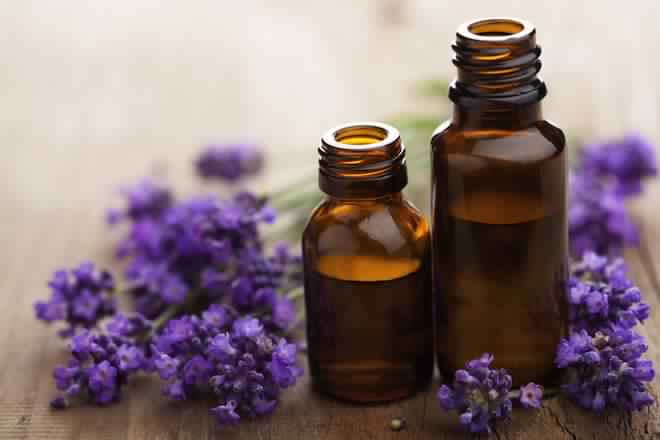 Lavender oil