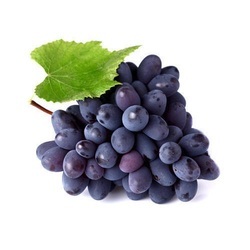 Organic fresh black grapes, Packaging Size : 10-20kg