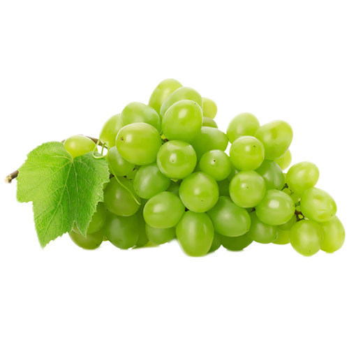 Organic fresh green grapes, Packaging Type : Net Bag, Plastic Box