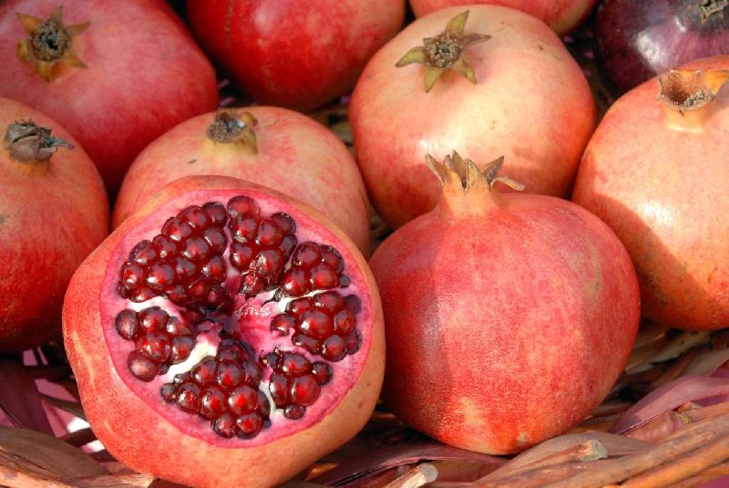 Organic fresh pomegranate, Packaging Type : Net Bag, Plastic Box