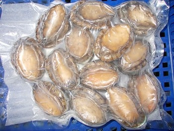 Frozen Abalone Shell