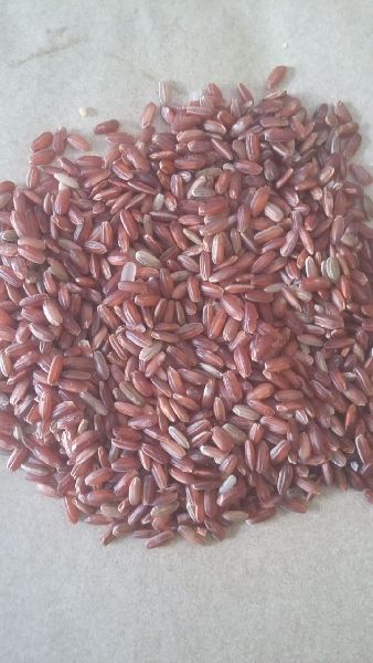 Hard Organic Natural Red Rice, Feature : High In Protein, Low In Fat