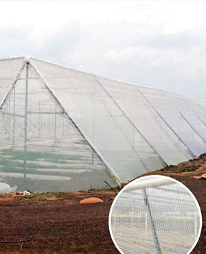Insect Nets at Best Price in Vadodara