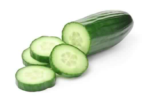 European cucumber