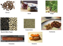 Spices, Form : Whole